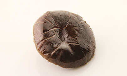 肉厚の椎茸